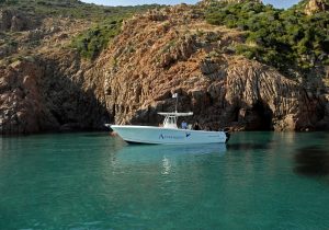 Alpana Promenade en mer et pêche sportive à Porto, Girolata et Scandola, Corse