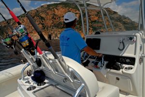 balade sortie en mer corse alpana depart porto