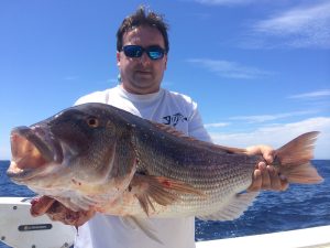 peche sportive corse alpana porto scandola girolata