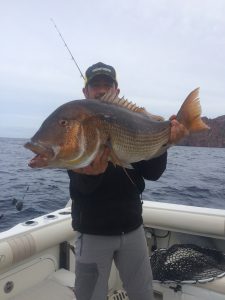 peche sportive corse alpana porto scandola girolata