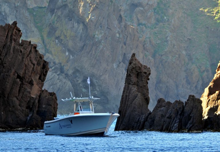 balade sortie en mer corse alpana depart porto scandola girolata piana