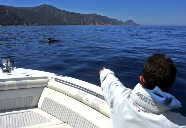 balade sortie en mer corse alpana depart porto scandola girolata piana