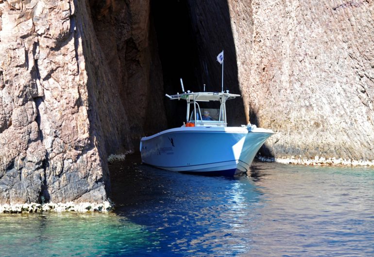 Alpana Promenade en mer et pêche sportive à Porto, Girolata et Scandola, Corse